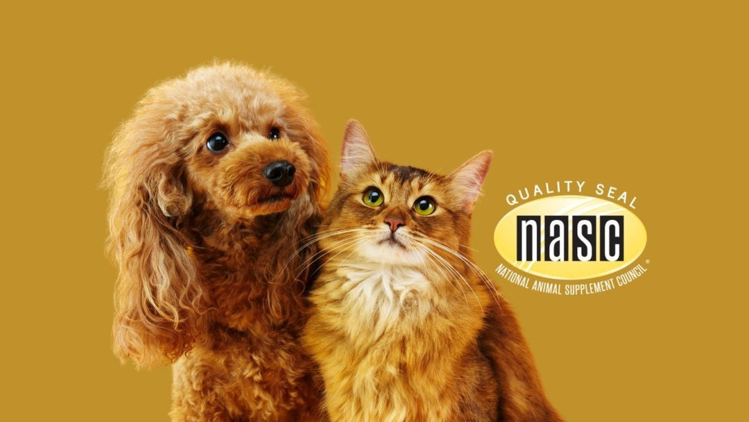 How the National Animal Supplement Council helps businesses like Hemp Well