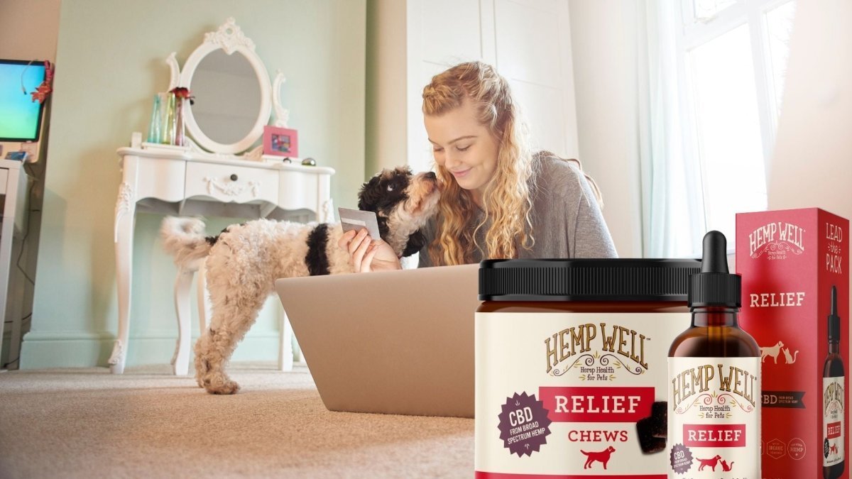 Top Five Signs That Indicate Your Dog Is In Pain - Hemp Well