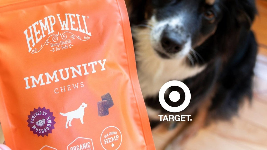 Innovative Hemp and Mushroom Powered Soft Chews for Dogs, Now Available on Target.com