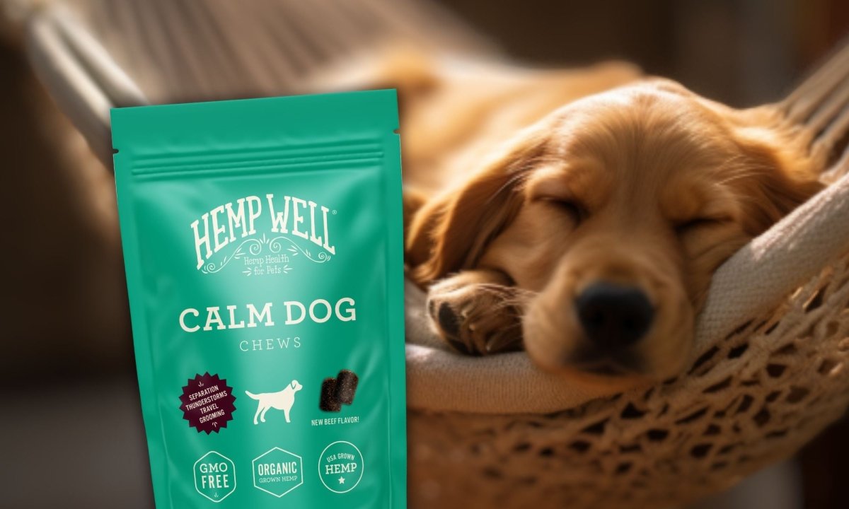 Keeping Your Dog Calm and Healthy with Hemp Well: The Leader in Organic Pet Supplements - Hemp Well