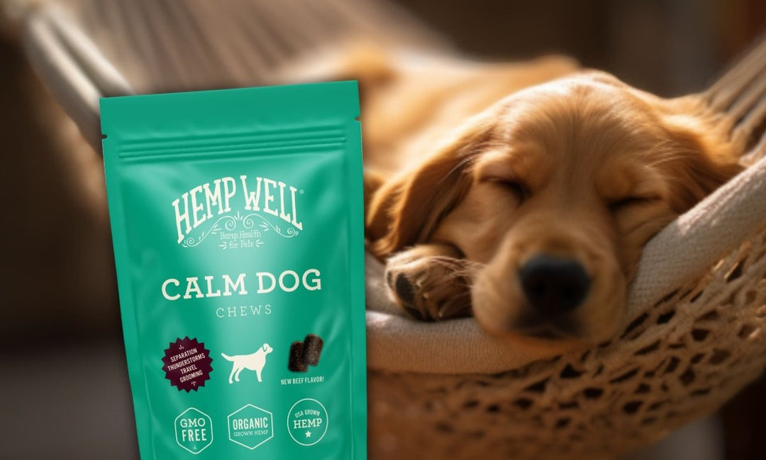 Keeping Your Dog Calm and Healthy with Hemp Well: The Leader in Organic Pet Supplements