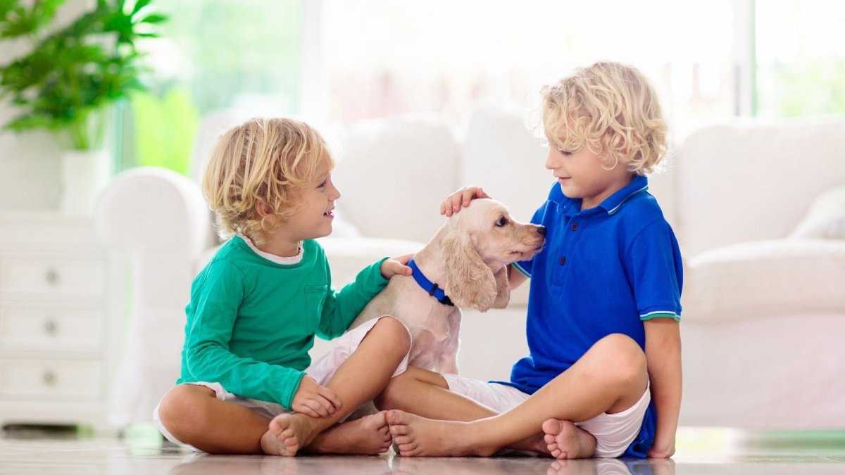 Medical Research Study: Dogs Help Kids Develop - Hemp Well