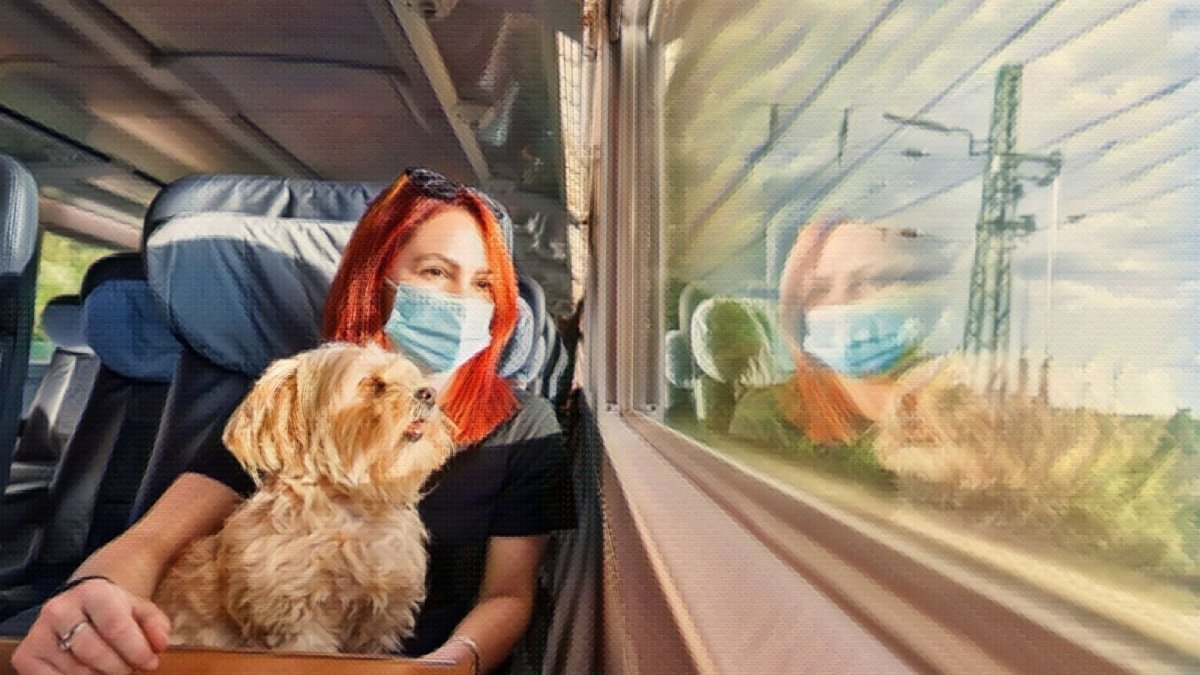 My dog ate my face mask, what do I do? - Hemp Well