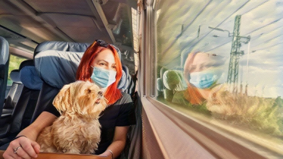 My dog ate my face mask, what do I do? - Hemp Well