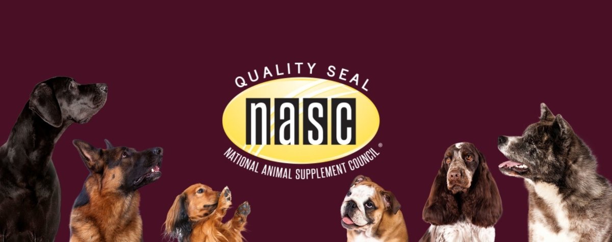 NASC Study Finds Cannabidiol Products Well-Tolerated in Healthy Dogs - Hemp Well
