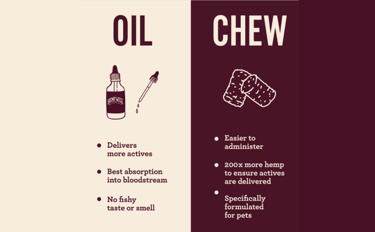 Oil vs. Soft Chews: Choosing the Right Pet Supplement