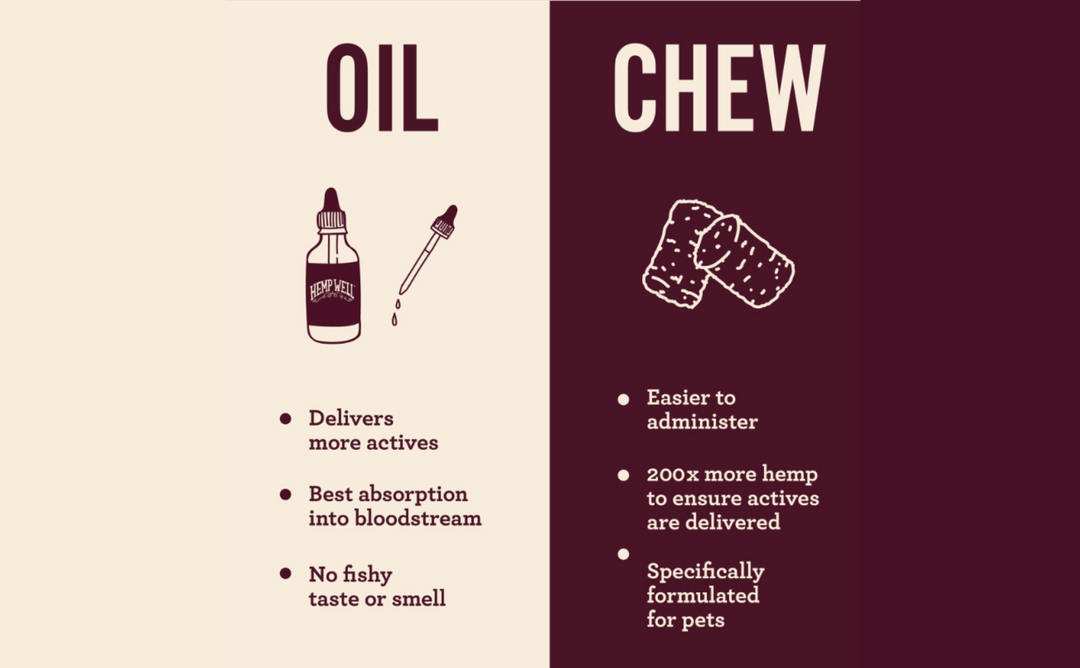 CBD Oil vs. CBD Soft Chews for Dogs: Which Is Right for Your Pet?