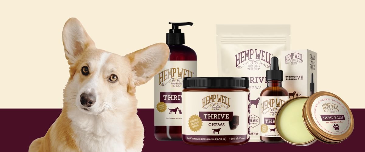 Omegas products to be renamed Thrive - Hemp Well