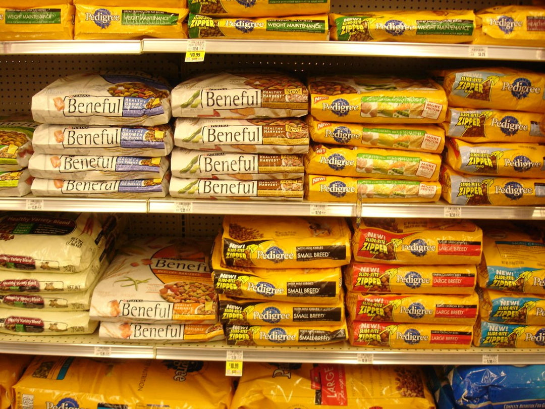 Pet food shortage: how to prepare your pet for a potential shortage