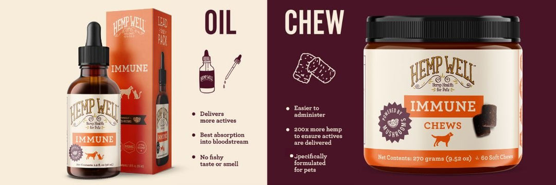 Pet Supplements: Oil/Liquid vs. Soft Chews - What's the Difference?