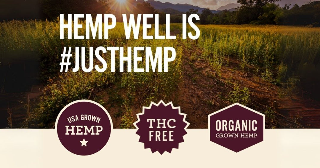 Potential Side Effects of CBD for Dogs - 10 Things To Know