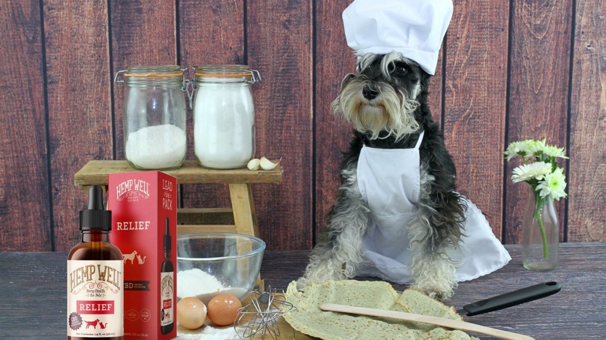 RECIPE: Peanut Butter and CBD Dog Treats - Hemp Well