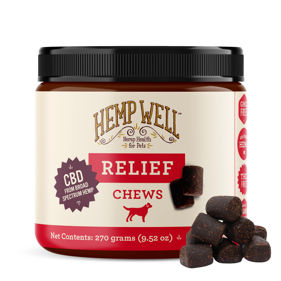 CBD Oil vs Chews for Dogs: Which Should You Buy?