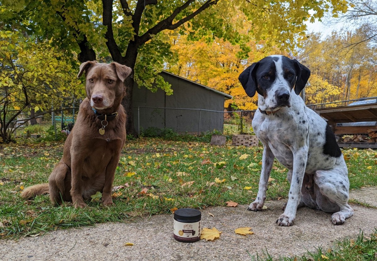 Pet Supplies Plus Galesburg Hemp Well