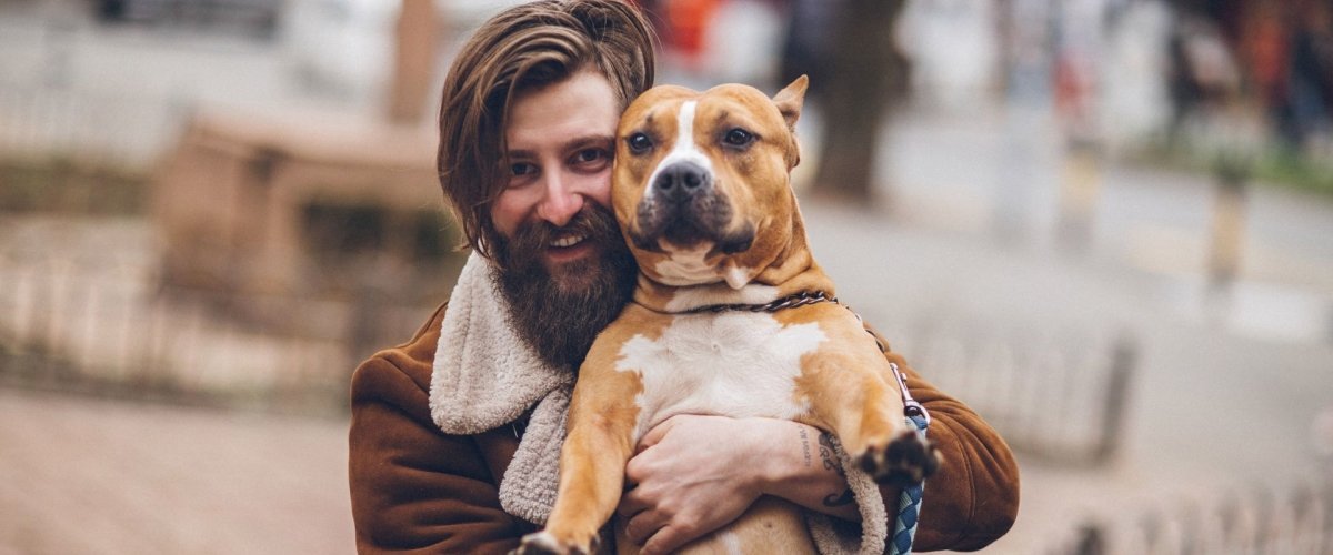 Sorry Mom, Why Dog Dads Are Really the Favorite - Hemp Well