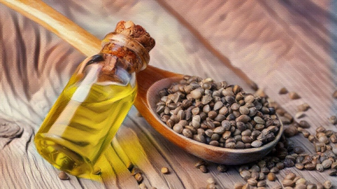 The Benefits of Using Hempseed Oil for your Pet