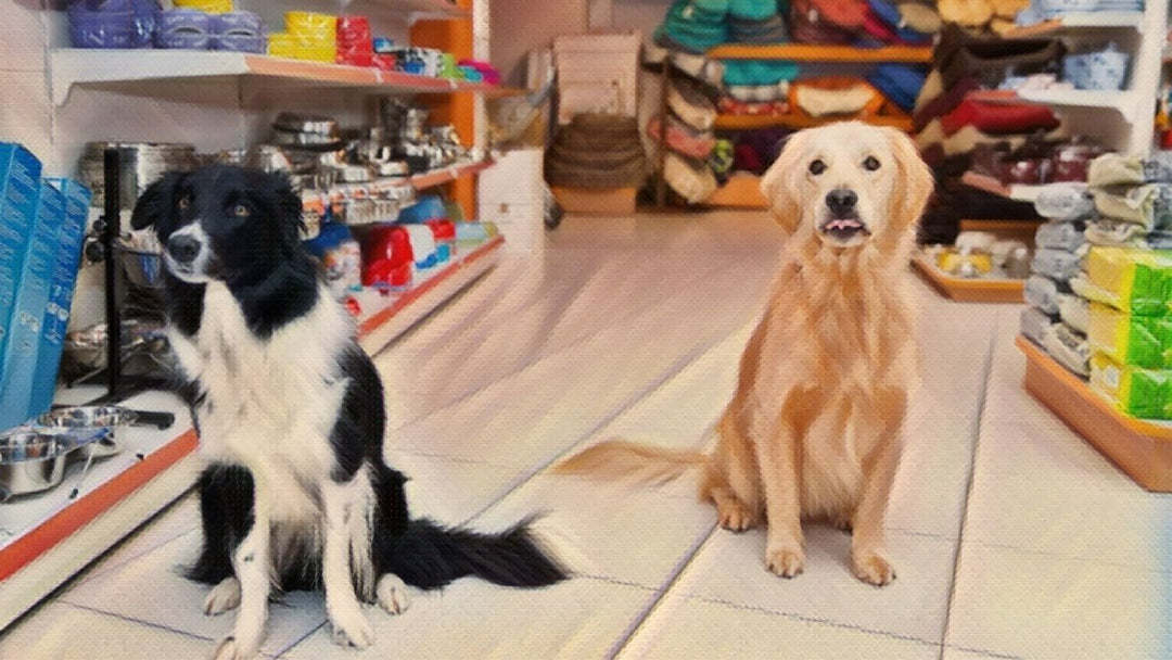 The future of pet product retail