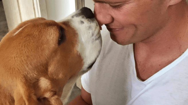 Understanding and Preventing Canine Obesity: A Growing Concern in Dog Health