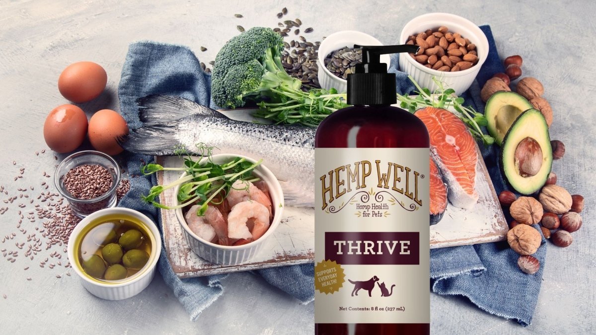 What Are Omega 3 Fatty Acids? - Hemp Well