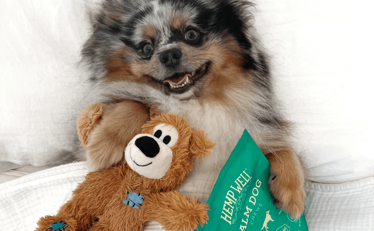 When Dog Owners Need Help Calming Their Dogs, per Google. - Hemp Well