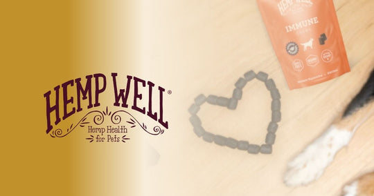 🐾 Why Hemp Well’s Immune Chews Matter?