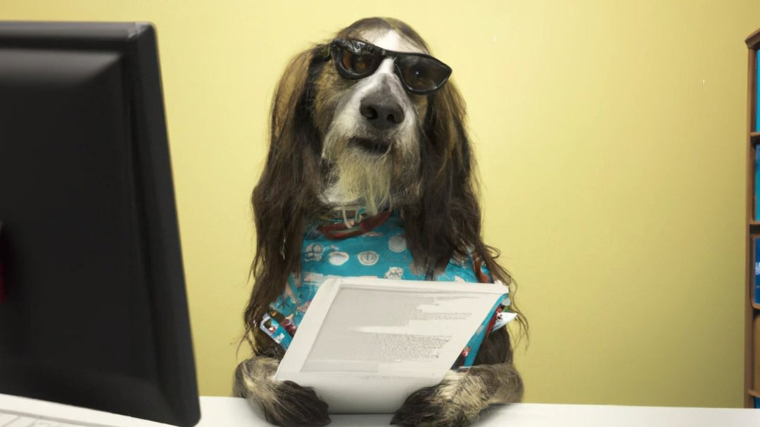 Will my pet insurance pay for CBD?