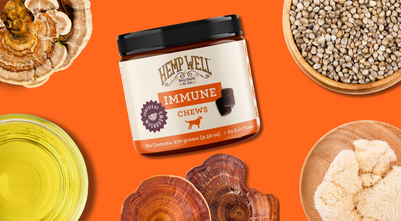 Immune - Hemp Well