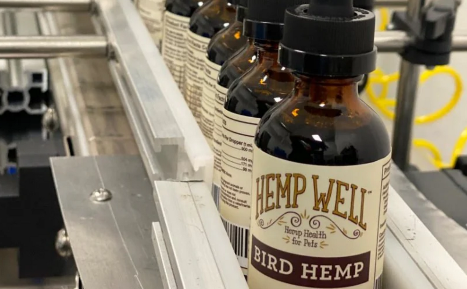 Questions about Hemp Well? Start here.