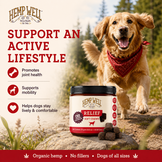 Hemp Well Relief: CBD Soft Chews for Dogs