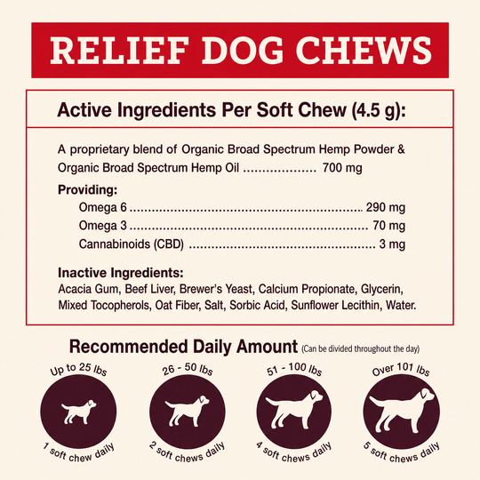 Hemp Well Relief: CBD Soft Chews for Dogs