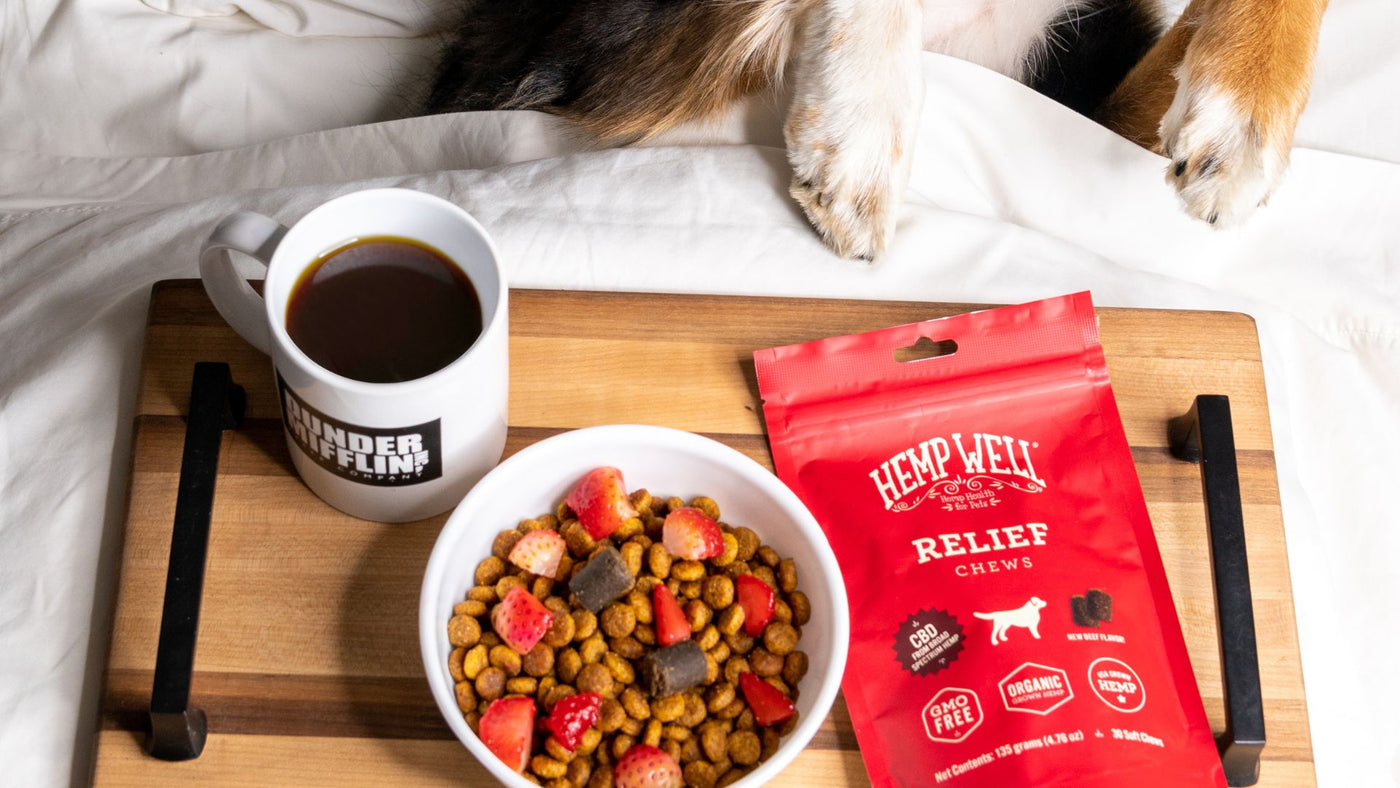 Hemp health for every animal in your house.