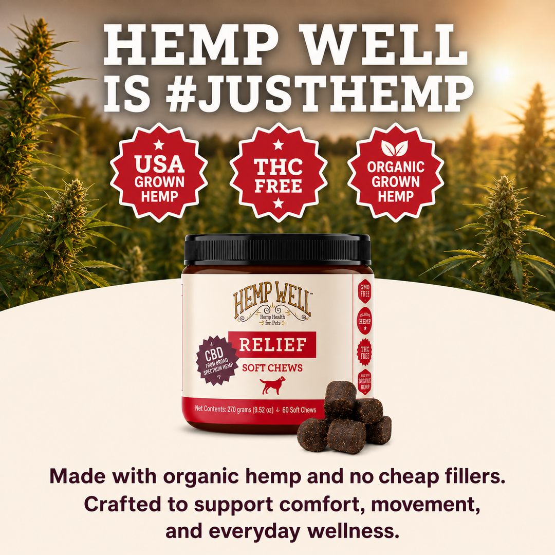 Hemp Well Relief: CBD Soft Chews for Dogs