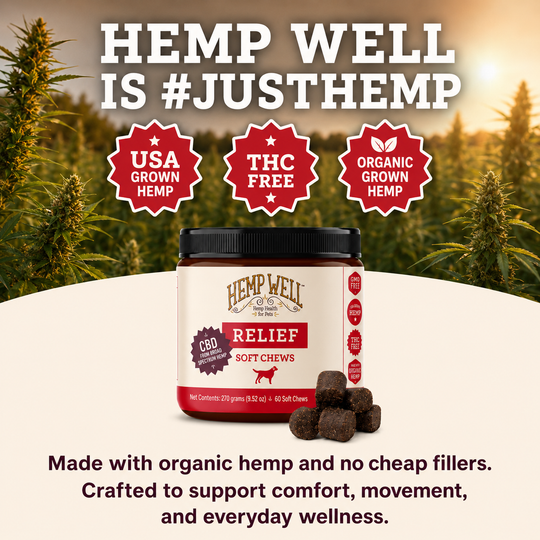Hemp Well Relief: CBD Soft Chews for Dogs