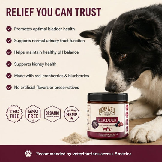 Bladder Support Powder for Dogs &amp; Cats