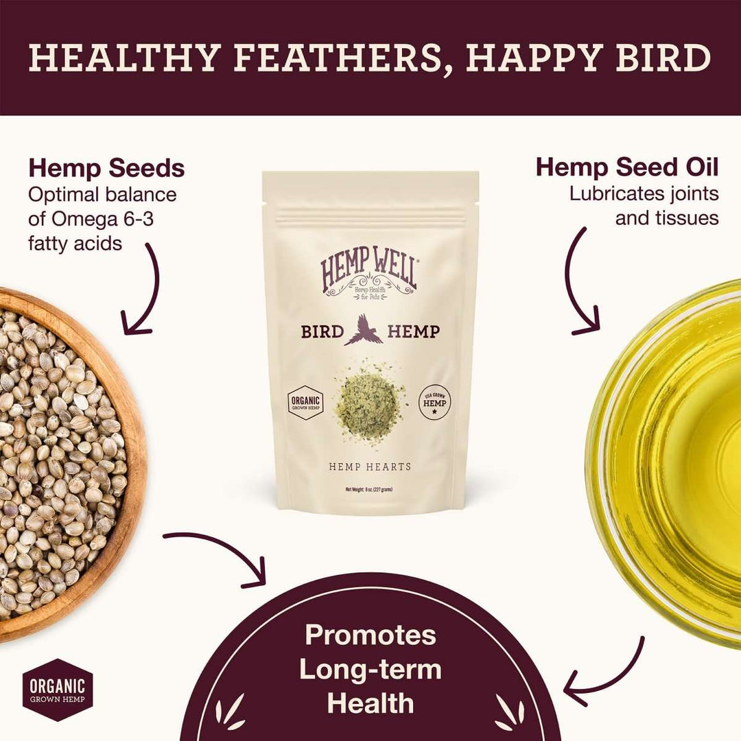 Bird Hemp Hearts - Hemp Well bird bird seed health
