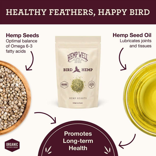Bird Hemp Hearts - Hemp Well bird bird seed health