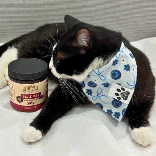 Bladder Support Powder for Dogs & Cats - Hemp Well bladder cat dog