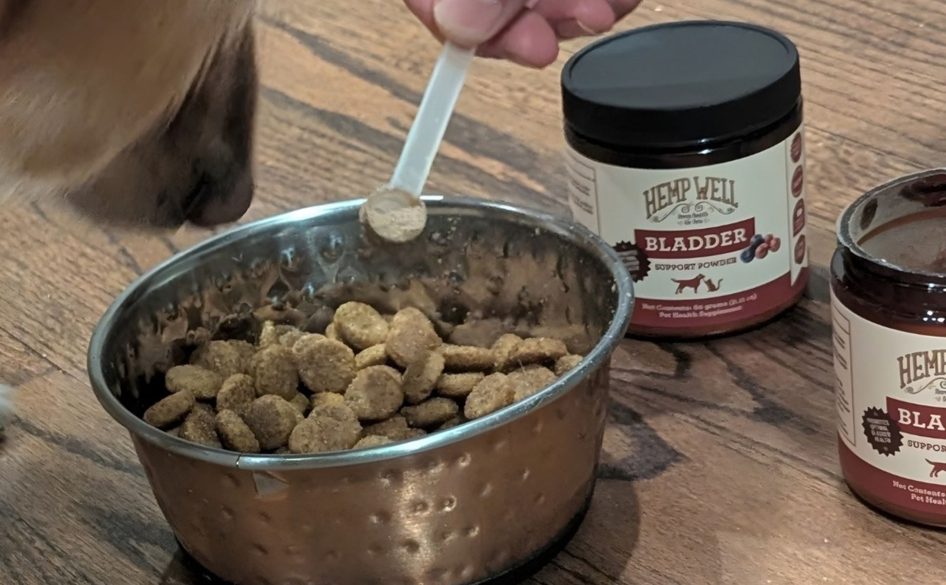 bladder_infections_for_dogs.