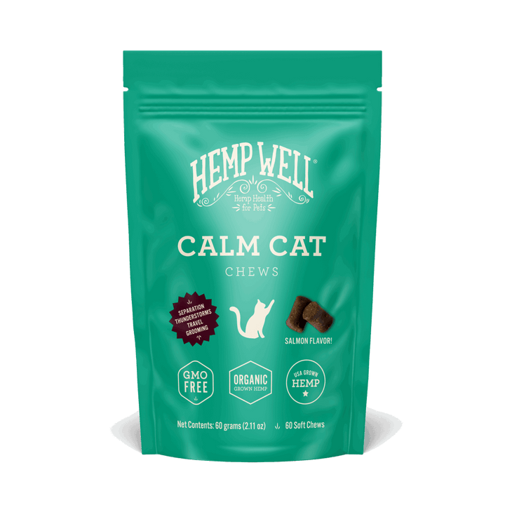 Calm Cat