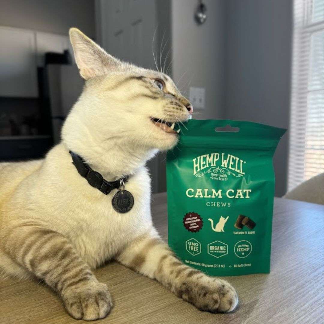 Organic hemp calming chews for cats, Hemp Well Calm Cat Soft Chews, displayed in a resealable bag.