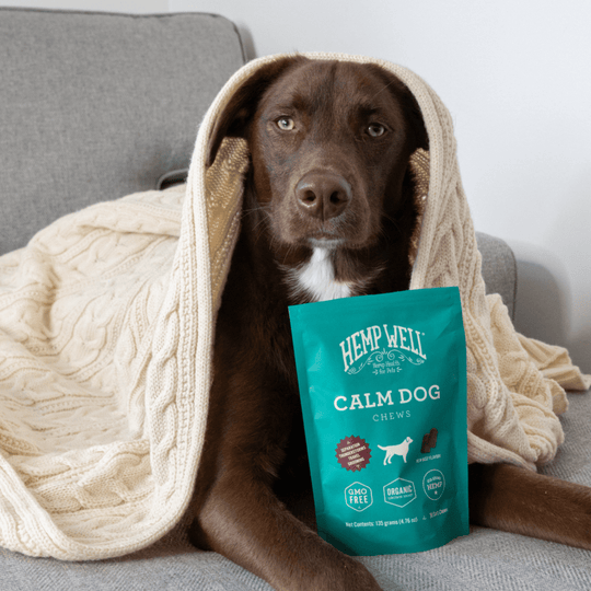 Calm Dog Soft Chews - Hemp Well anxiety calm Calm Dog