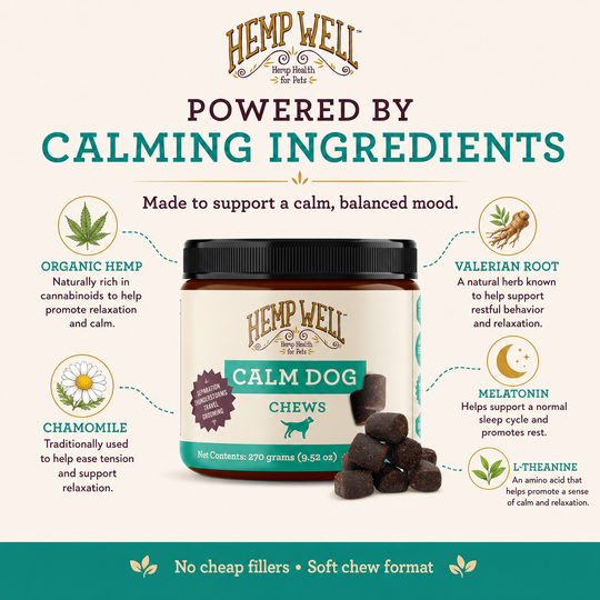Calm Dog Soft Chews | Daily Calming Support