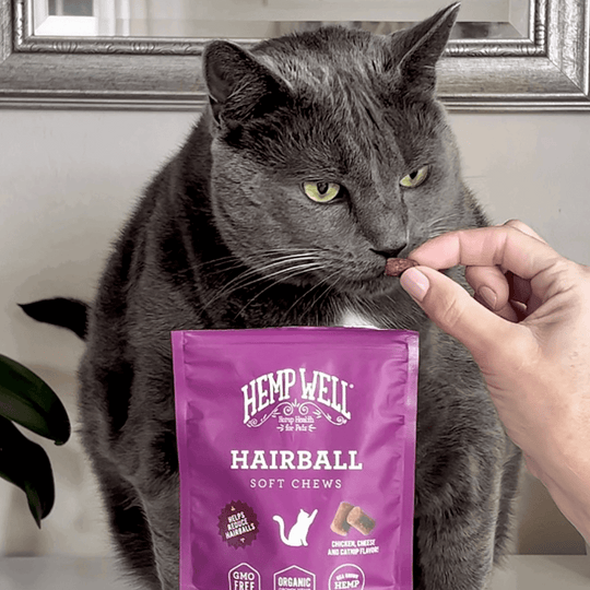 Cat Hairball Soft Chews - Hemp Well calm calming cat tag4 organic over 1,000,000 pets love Hemp Well