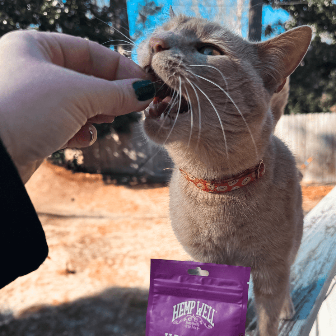 Cat Hairball Soft Chews - Hemp Well calm calming cat tag4 organic over 1,000,000 pets love Hemp Well