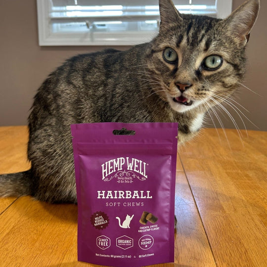 Cat Hairball Soft Chews - Hemp Well calm calming cat