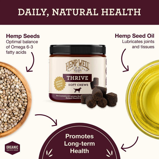 Dog Skin Health Bundle