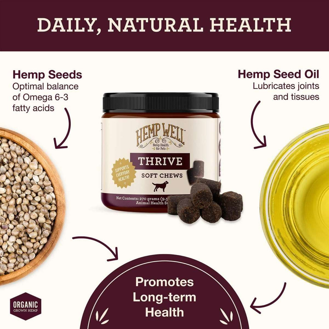 Dog Skin Health Bundle
