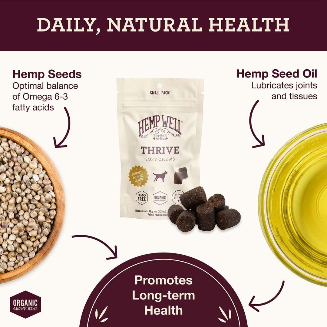 Dog Soft Chew Small Pack Sampler - Hemp Well