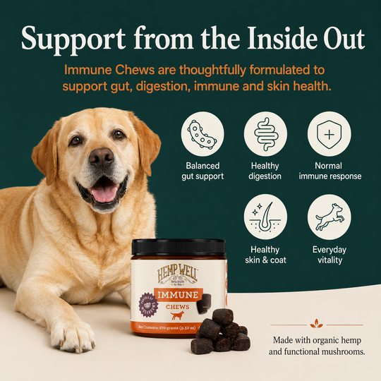Immune &amp; Digestive Gut Health Dog Soft Chews