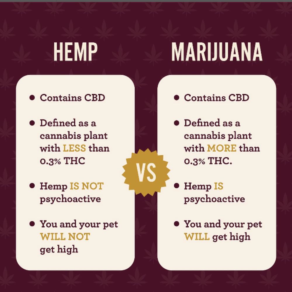 Organic Hemp Health For Pets – Hemp Well